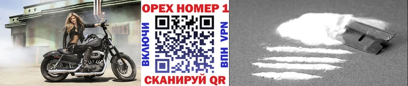 Купить закладки  Новочеркасск  Кокаин 98% 