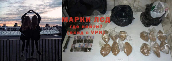 шишки Алзамай