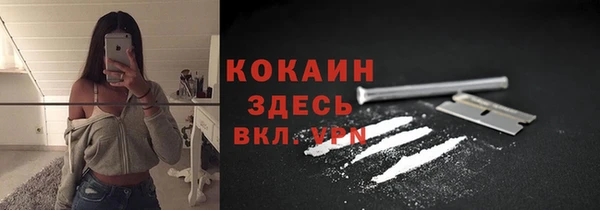 шишки Алзамай