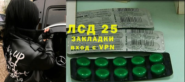 шишки Алзамай