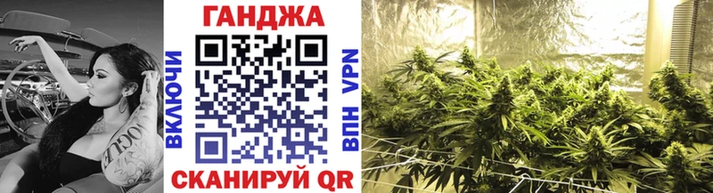 Купить закладки  Новочеркасск  Шишки марихуана тримм 